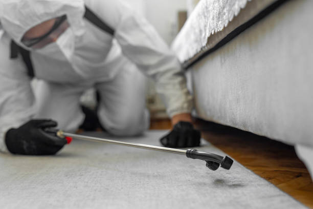 Professional Wasp Control technician working in Siena College, NY