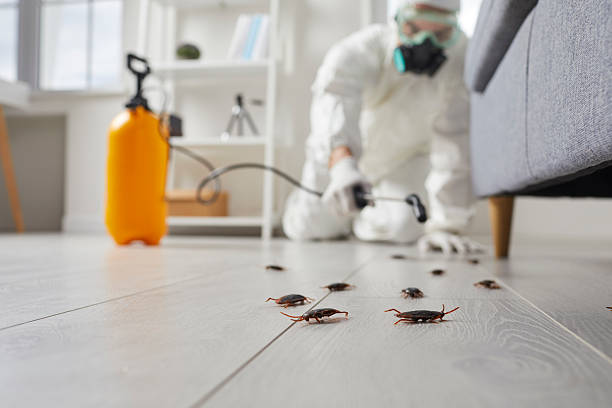 Trusted Fumigation Services service in Siena College, NY - Nex Pest Control