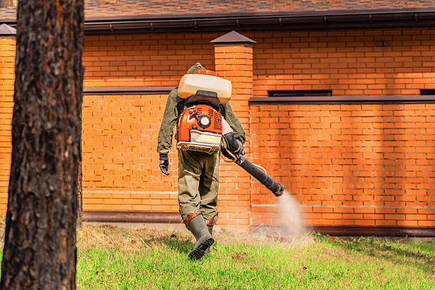 Trusted Mosquito Control service in Siena College, NY - Nex Pest Control